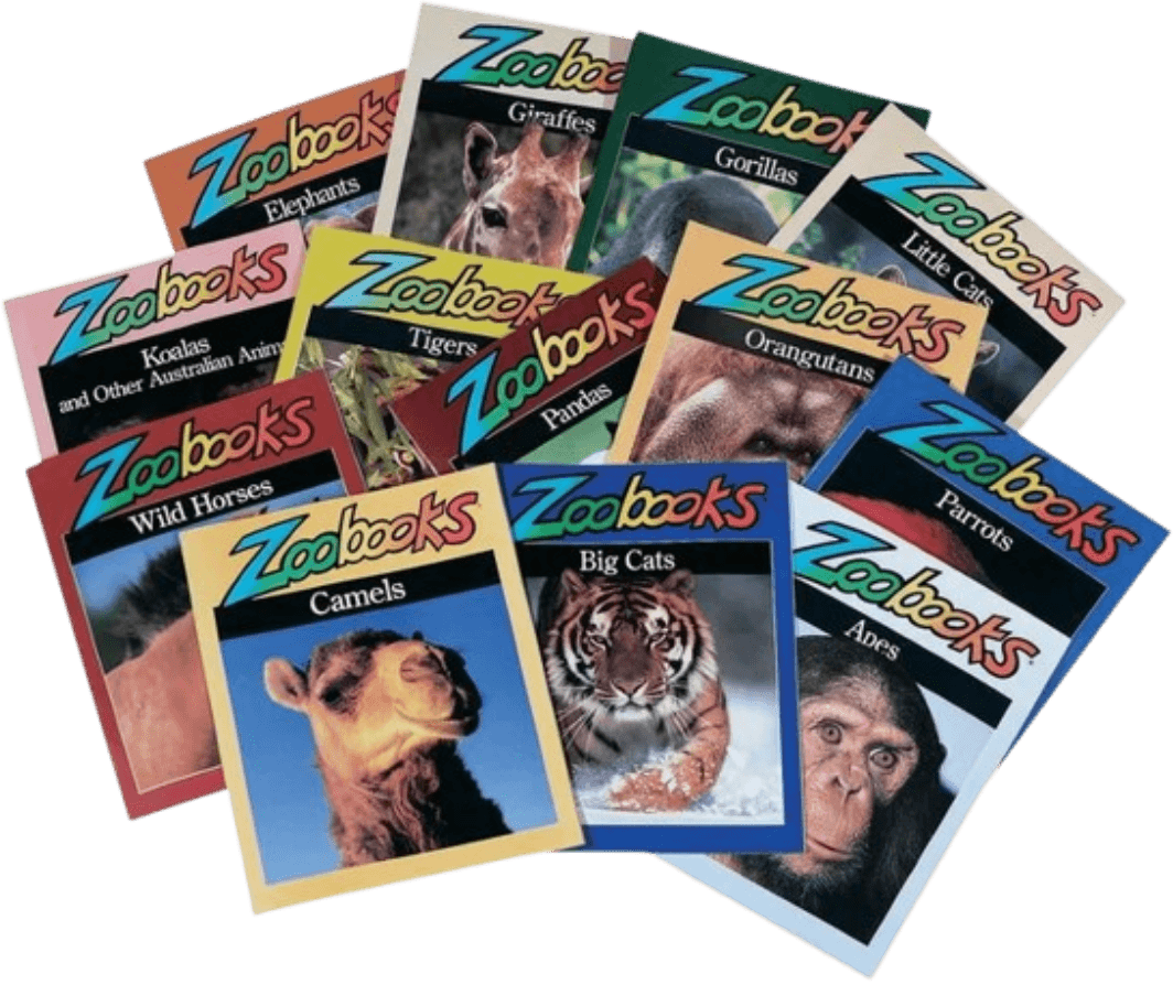 A pile of Zoobooks wildlife magazines featuring detailed animal cover photos alongside DK Eyewitness hardcover books like 'Arms & Armor' and 'Castle', staple reference materials for 90s school reports.