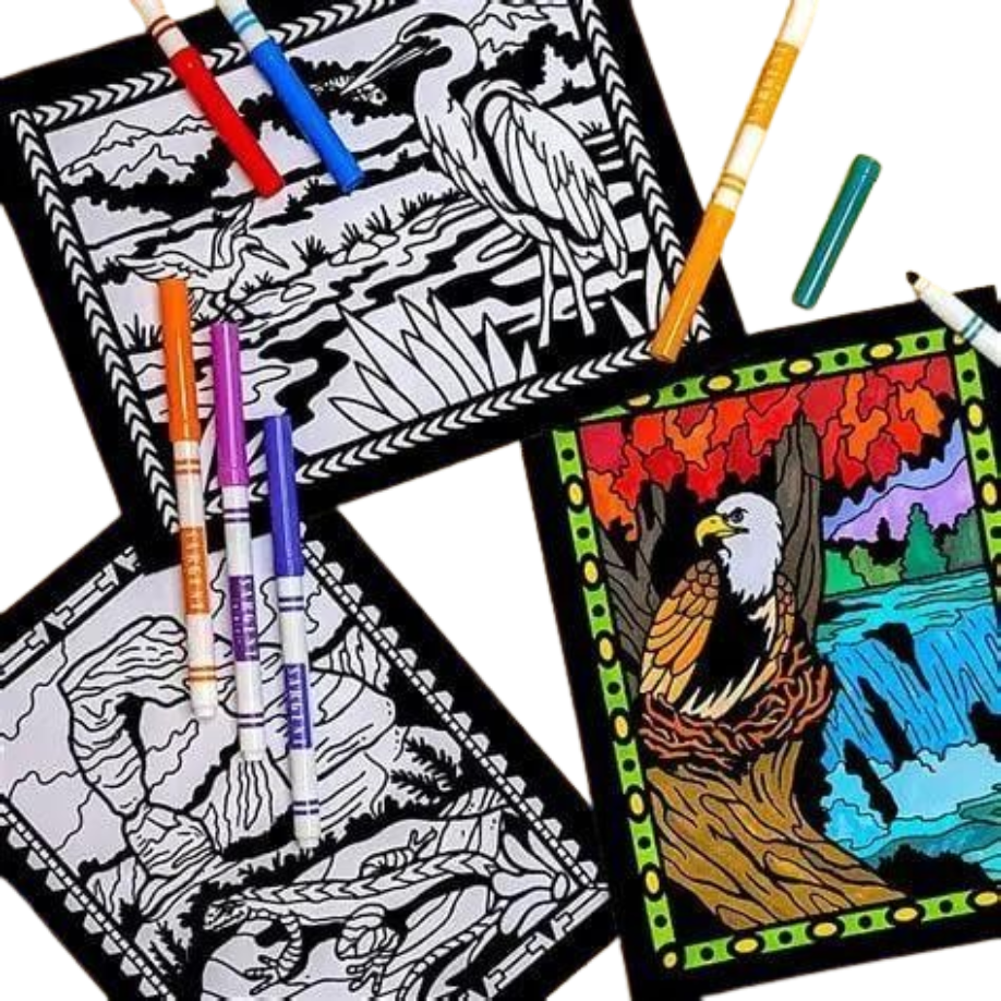 Fuzzy Felt Velvet Coloring Posters Trio of Fuzzy Velvet black flocked coloring sheets featuring bald eagles and herons being detailed with fine-tip washable markers.