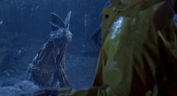 An animated GIF from Jurassic Park showing the frilled Dilophosaurus flaring its colorful neck cowl and hissing inside Dennis Nedry's Jeep during a torrential downpour.