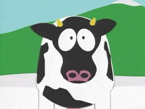 Mooooo
