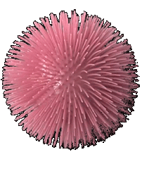 A static cutout photo of a fuzzy pink rubber Koosh ball hovering against a black background.