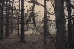 An animated GIF from The Blair Witch Project capturing the disorienting, shaky cam perspective of sprinting through dark Maryland woods past eerie stick figures hanging from trees, defining the 90s found-footage horror renaissance.