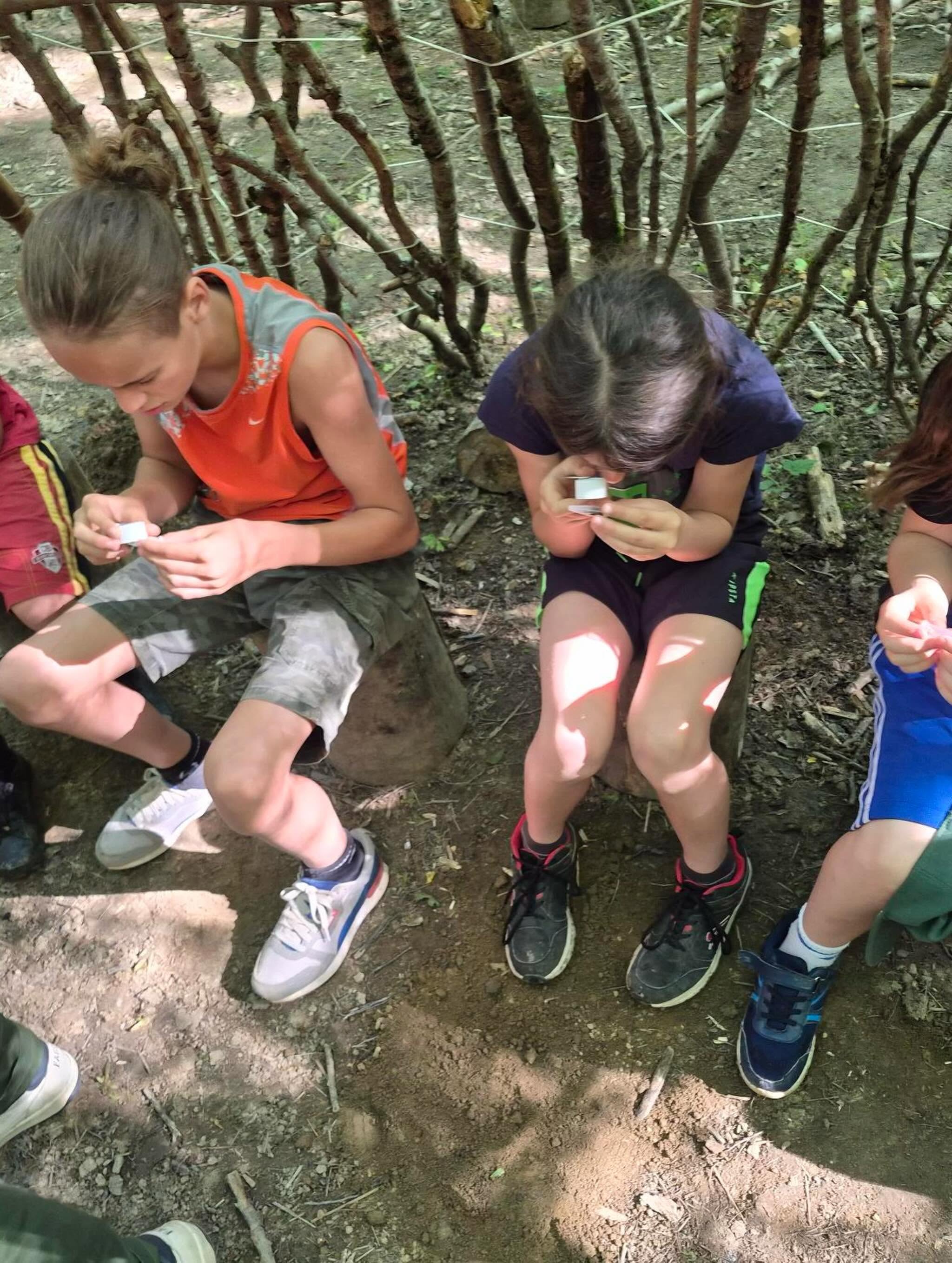 enfants assis en forêt, à Saint-Brancher (Yonne), au sein d'une école alternative pratiquant la pédagogie Montessori. École de la forêt.
