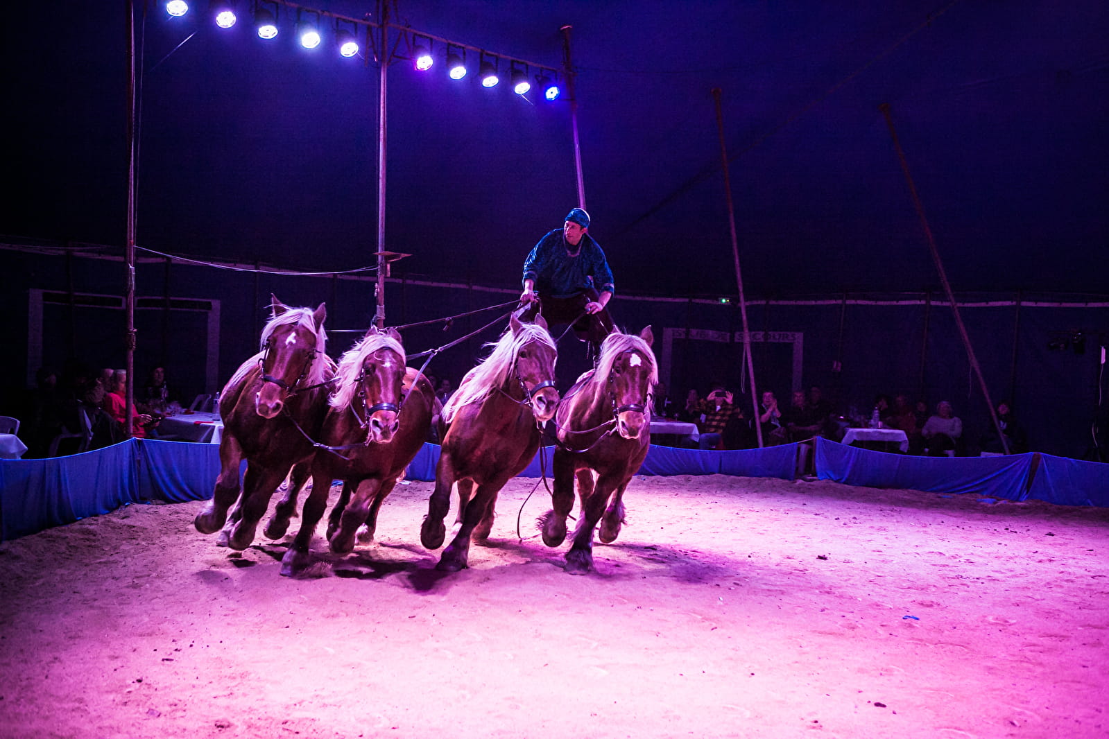 évènement du 21 août à saint agan, spectacle équestre