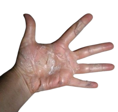 peeled away in thin clear sheets—the ultimate tactile ritual for bored elementary schoolers waiting for the end-of-day bell.